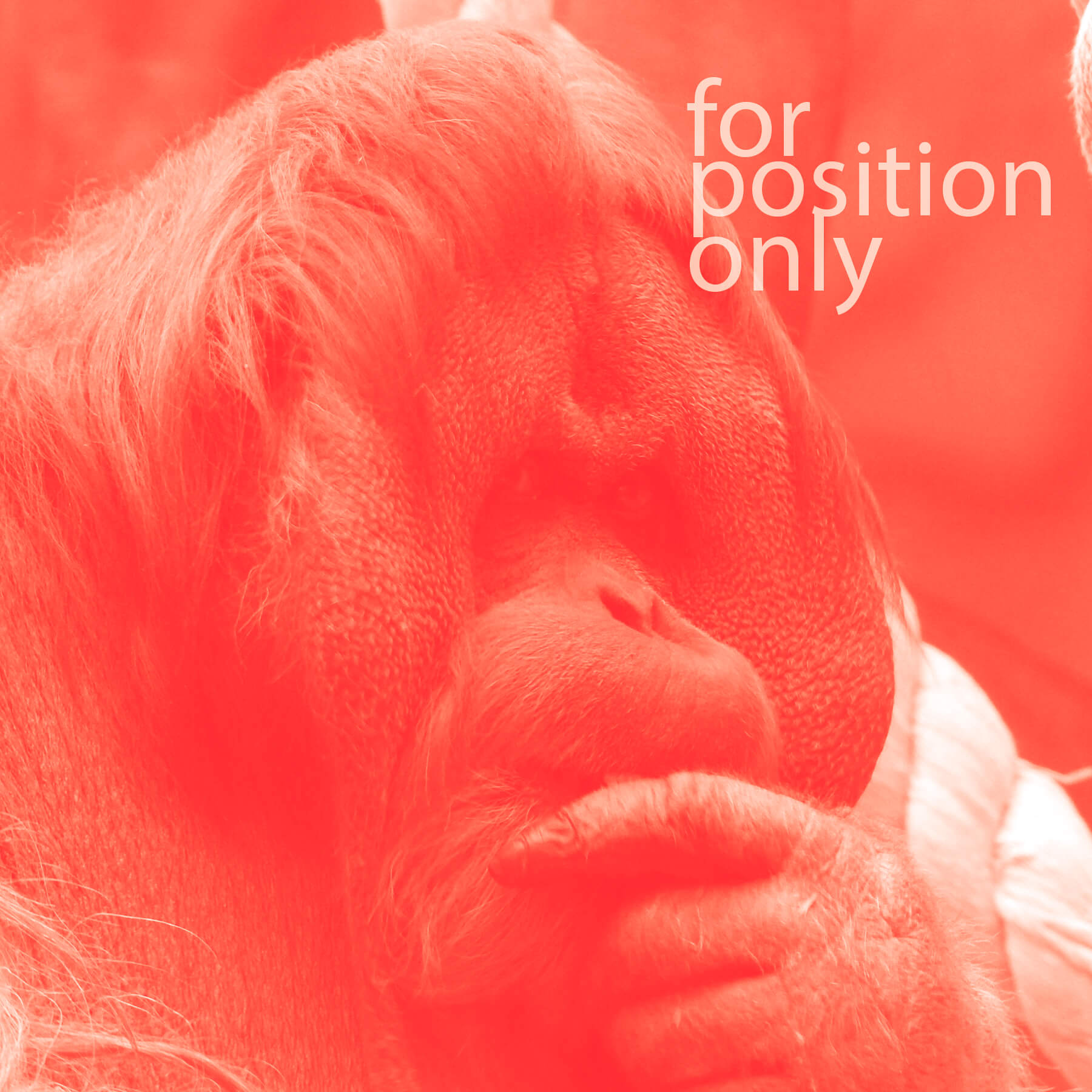 fop-instagram-img fop-instagram-img